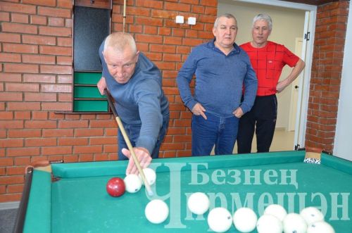 В Черемшане в открытом турнире по бильярду приняли участие 18 игроков (ФОТОРЕПОРТАЖ)