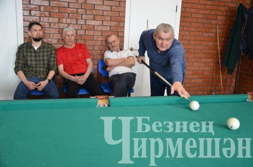 В Черемшане в открытом турнире по бильярду приняли участие 18 игроков (ФОТОРЕПОРТАЖ)