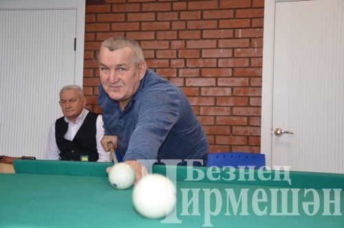 В Черемшане в открытом турнире по бильярду приняли участие 18 игроков (ФОТОРЕПОРТАЖ)
