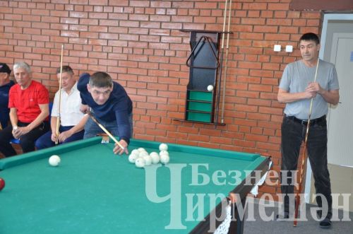 В Черемшане в открытом турнире по бильярду приняли участие 18 игроков (ФОТОРЕПОРТАЖ)