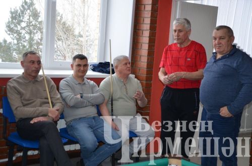 В Черемшане в открытом турнире по бильярду приняли участие 18 игроков (ФОТОРЕПОРТАЖ)