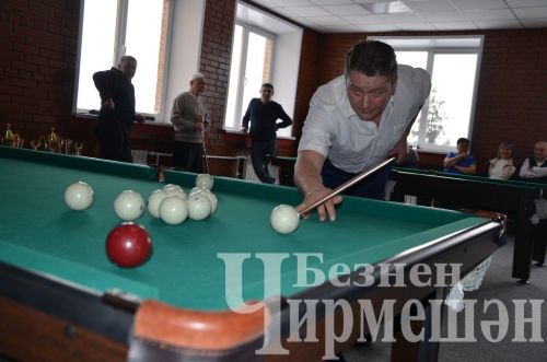 В Черемшане в открытом турнире по бильярду приняли участие 18 игроков (ФОТОРЕПОРТАЖ)