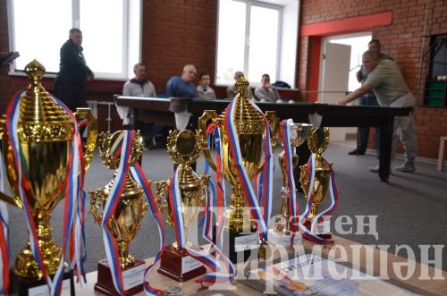 В Черемшане в открытом турнире по бильярду приняли участие 18 игроков (ФОТОРЕПОРТАЖ)