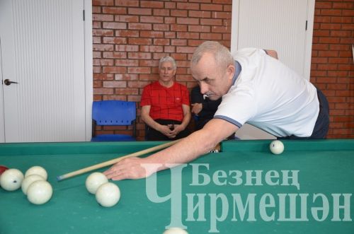 В Черемшане в открытом турнире по бильярду приняли участие 18 игроков (ФОТОРЕПОРТАЖ)