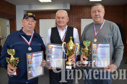 В Черемшане в открытом турнире по бильярду приняли участие 18 игроков (ФОТОРЕПОРТАЖ)