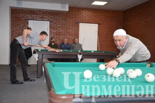 В Черемшане в открытом турнире по бильярду приняли участие 18 игроков (ФОТОРЕПОРТАЖ)