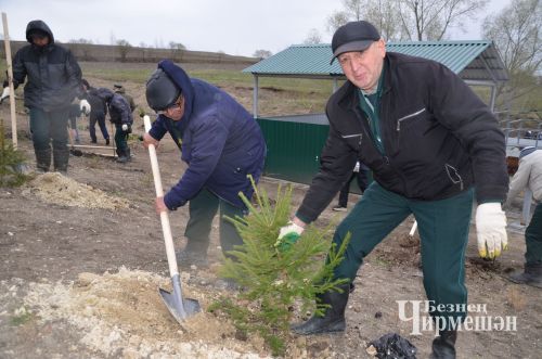 И черемшанцы присоединились к акции "Сад памяти" (ФОТОРЕПОРТАЖ)