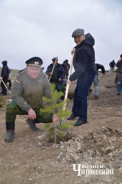 Чирмешәнлеләр дә "Хәтер бакчасы" акциясенә кушылды (ФОТОРЕПОРТАЖ)