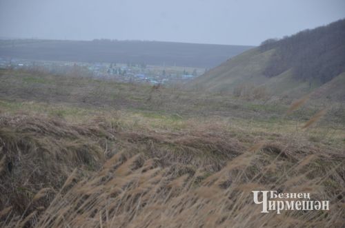 И черемшанцы присоединились к акции "Сад памяти" (ФОТОРЕПОРТАЖ)