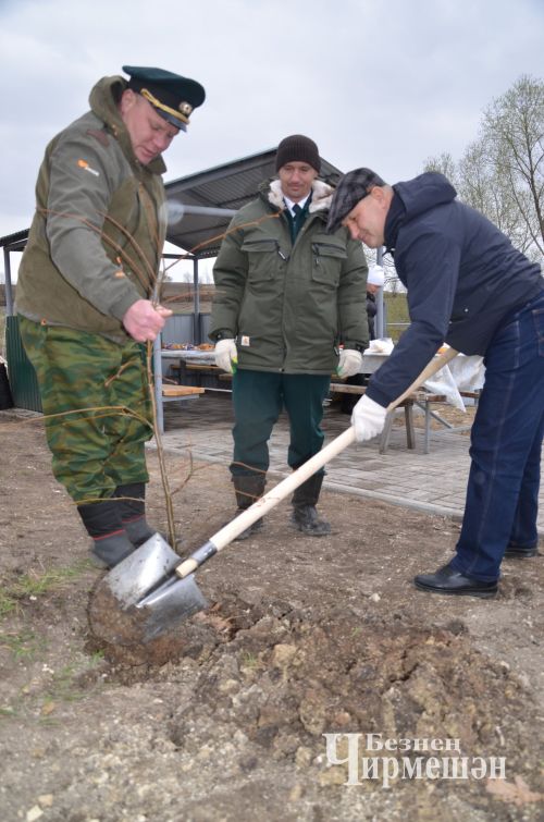 И черемшанцы присоединились к акции "Сад памяти" (ФОТОРЕПОРТАЖ)