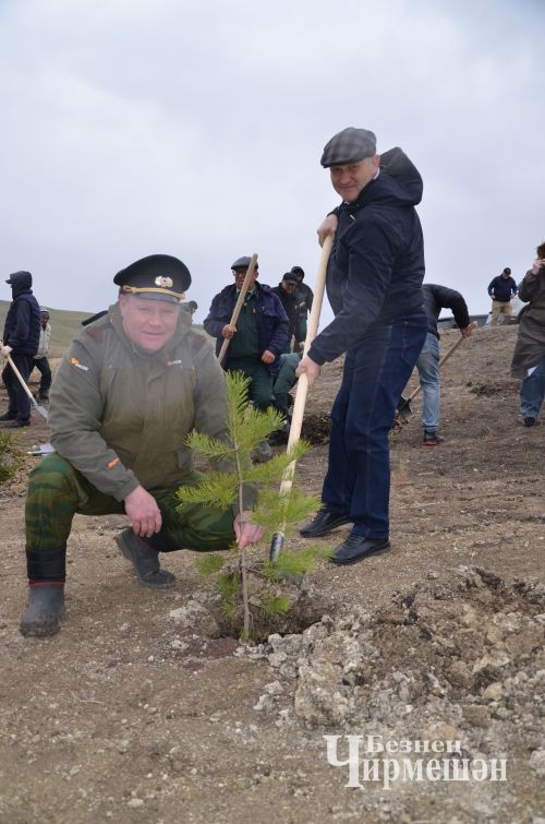 И черемшанцы присоединились к акции "Сад памяти" (ФОТОРЕПОРТАЖ)