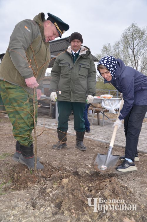 И черемшанцы присоединились к акции "Сад памяти" (ФОТОРЕПОРТАЖ)