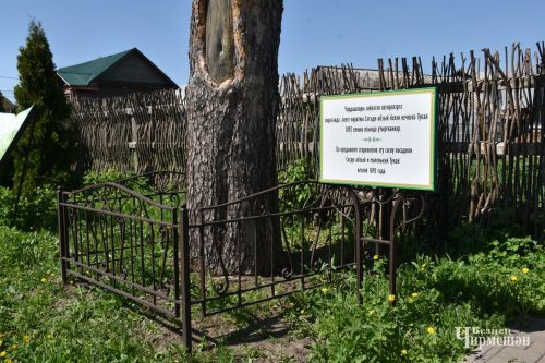 Амировцы побывали в музее Тукая (ФОТОРЕПОРТАЖ)
