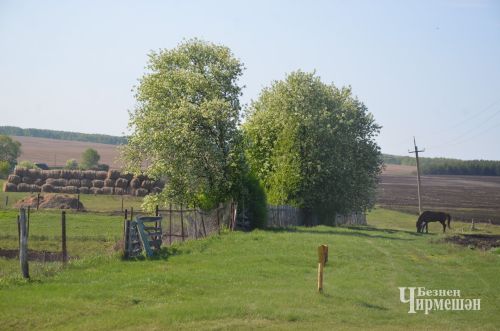 Жизнь села Лагерка (ФОТОРЕПОРТАЖ)