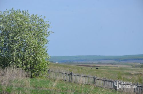 Жизнь села Лагерка (ФОТОРЕПОРТАЖ)