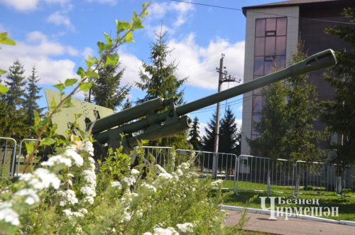 В Черемшане отметили 81 годовщину со Дня Победы (ФОТОРЕПОРТАЖ)