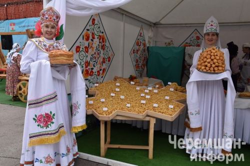 Делегация Черемшанского района приняла участие на областном Сабантуе в Самаре (ФОТОРЕПОРТАЖ)