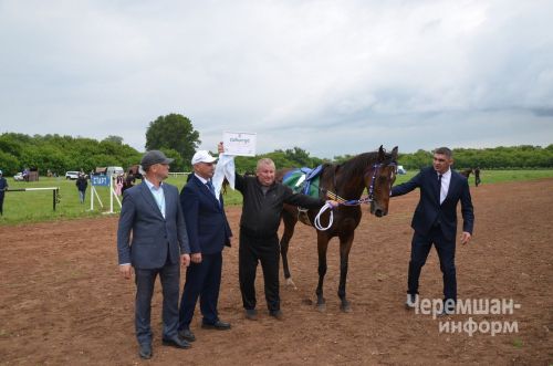 Сабантуй в Черемшане 2026 - скачки, Аударыш (ФОТОРЕПОРТАЖ)