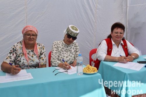 В Черемшане в четвертый раз прошел межрегиональный фестиваль "Луковая долина" (ФОТОРЕПОРТАЖ)