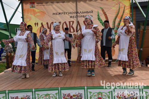 В Черемшане в четвертый раз прошел межрегиональный фестиваль "Луковая долина" (ФОТОРЕПОРТАЖ)