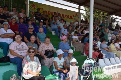 В Черемшане в четвертый раз прошел межрегиональный фестиваль "Луковая долина" (ФОТОРЕПОРТАЖ)