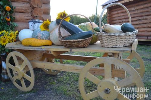 Чирмешәндә Нефть һәм газ сәнәгате хезмәткәрләре көнен бәйрәм итүнең иң якты мизгелләре (ФОТОРЕПОРТАЖ)
