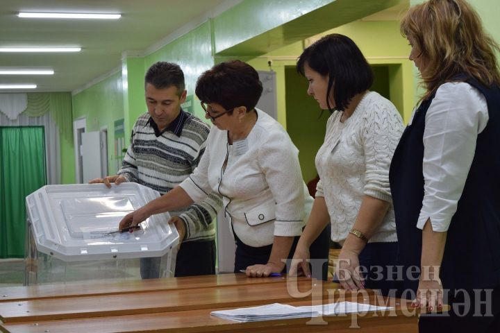В Черемшанском районе вопросы, внесенные на референдум, одобрены
