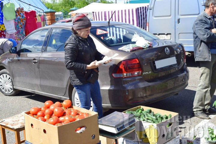 На Черемшанской ярмарке Алькинские огурцы продавали по низкой цене