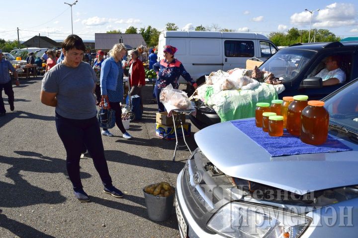 На Черемшанской ярмарке цена на мед снизилась