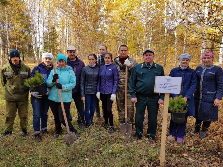 Школьное лесничество появилось. Лесничество Черемшан. Лесхоз Черемшанского района. Вознесенское лесничество. Шешминская крепость школа.