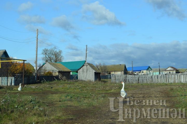 В Ишлинке не нахвалят почтальонку