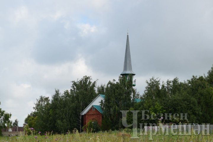 Бабушки из Ибрай Каргали не одиноки