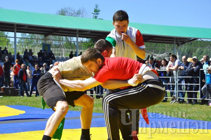 На Сабантуе нужно справедливое судейство