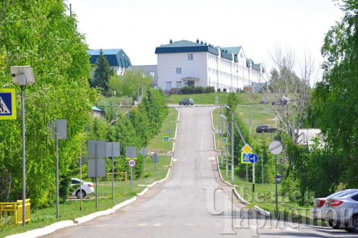 Синоптики предупредили о сильном ветре, возможен небольшой дождь