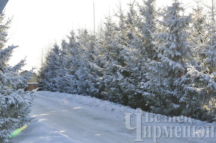 Какая погода ожидается 5 января в Татарстане