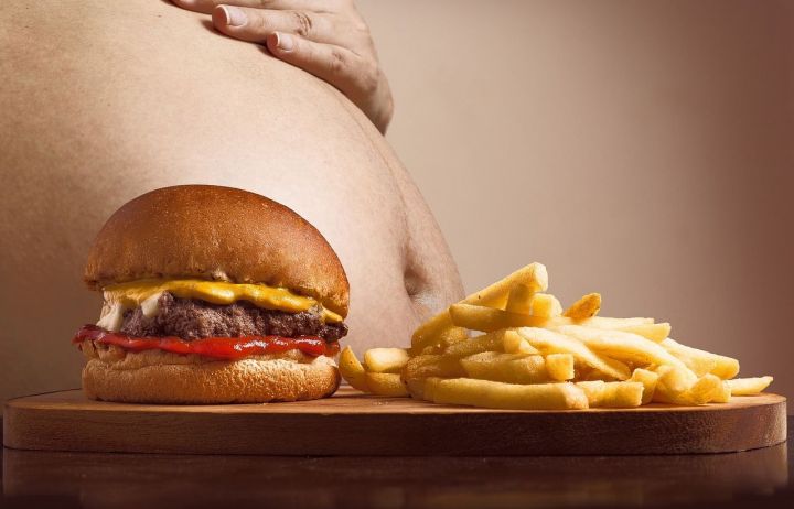 Ученые рассказали отчего происходит ожирение организма