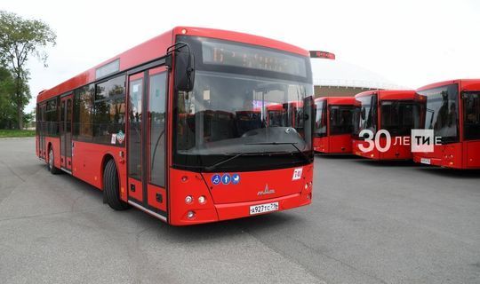 В Татарстане возобновят проект по аресту пассажирских автобусов