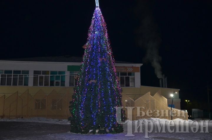Черемшанские инспектора пожарного надзора напоминают о новогодних правилах пожарной безопасности