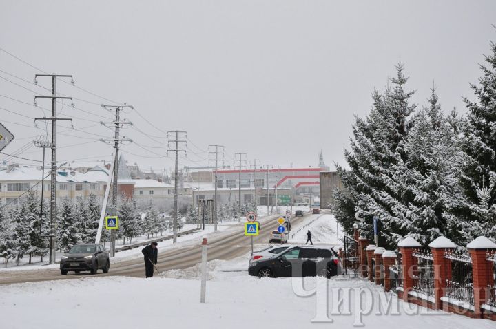 Нынче в Черемшанском районе выпало почти в два раза меньше снега, чем в прошлом году