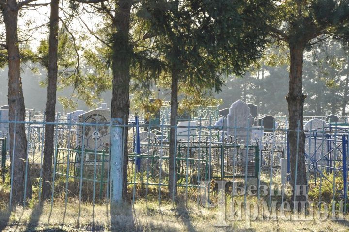 В селах Черемшанского района в подготовке могил для усопших нужна техника