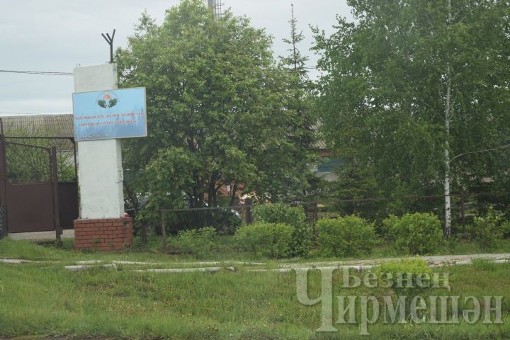 В Черемшанском районе лесоводы благоустраивают территорию административного здания