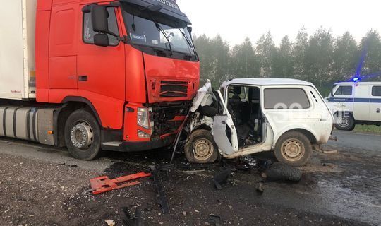 В Татарстане три брата погибли в&nbsp;одной аварии