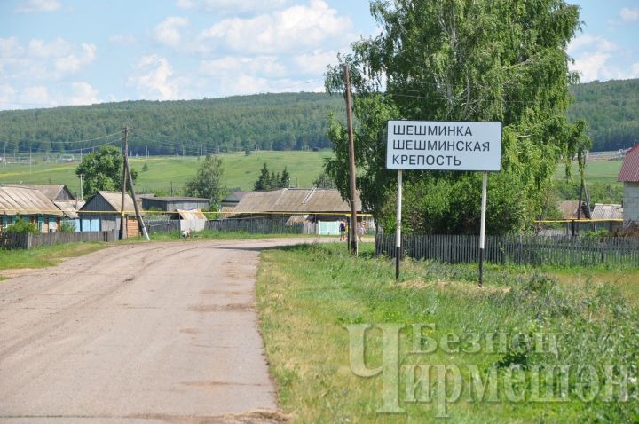 В Черемшанском районе 4 сельских поселения выиграли грант по 1,5 миллиона рублей