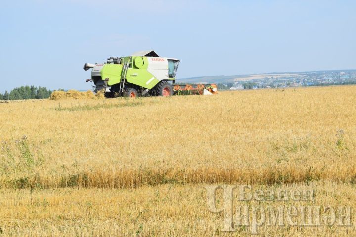 Әбиләр чуагы кайчан була?