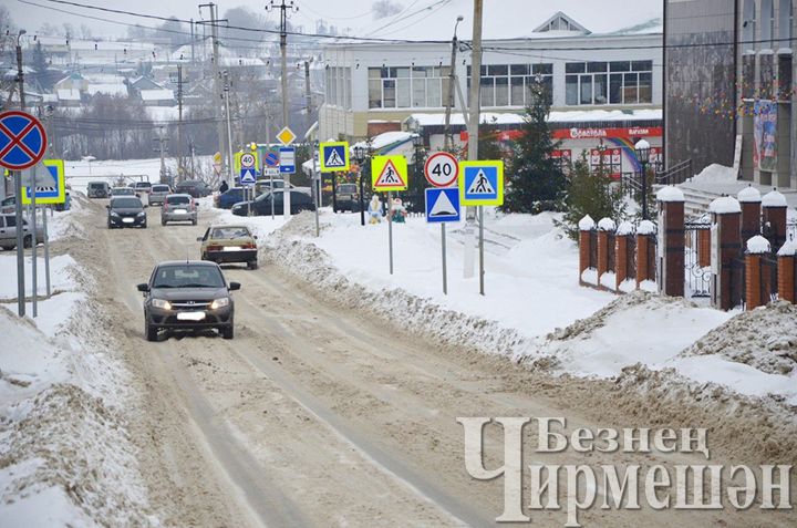 На дорогах Черемшанского района за десять дней причинен ущерб 7 автомашинам