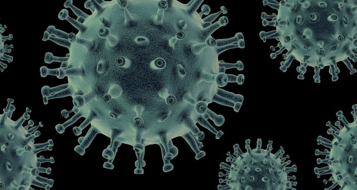 Три признака перенесенного коронавируса COVID-19 у человека выявлены