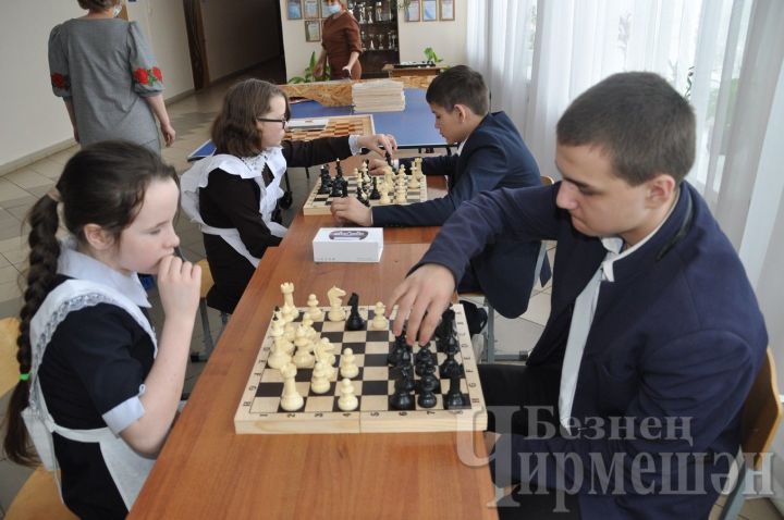 В Новоильмовской школе благодаря помощи депутата создана шахматная зона
