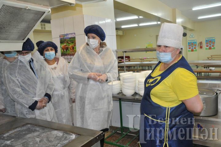 Татарстан Дәүләт Советы депутаты Чирмешән районындагы мәктәп ашханәләре эшенә бәя бирде