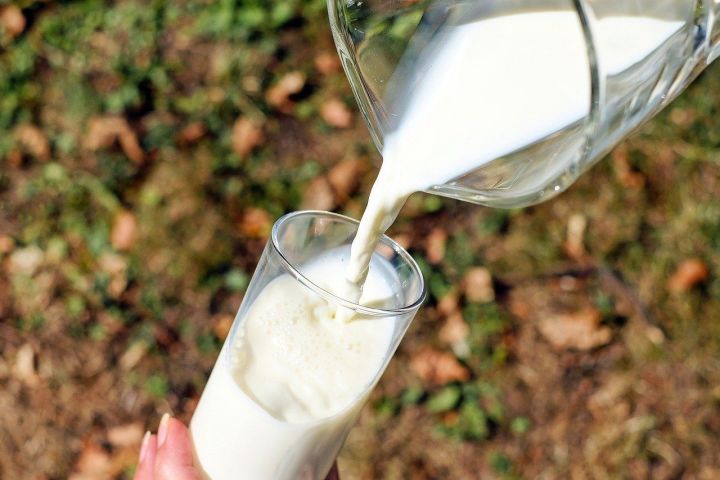 Диетолог объяснила, какое молоко может нанести вред