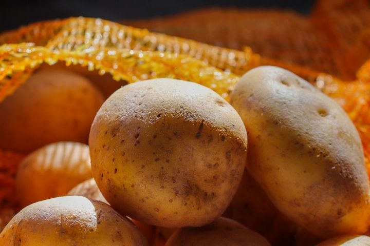 Названы самые частые ошибки при посадке картофеля
